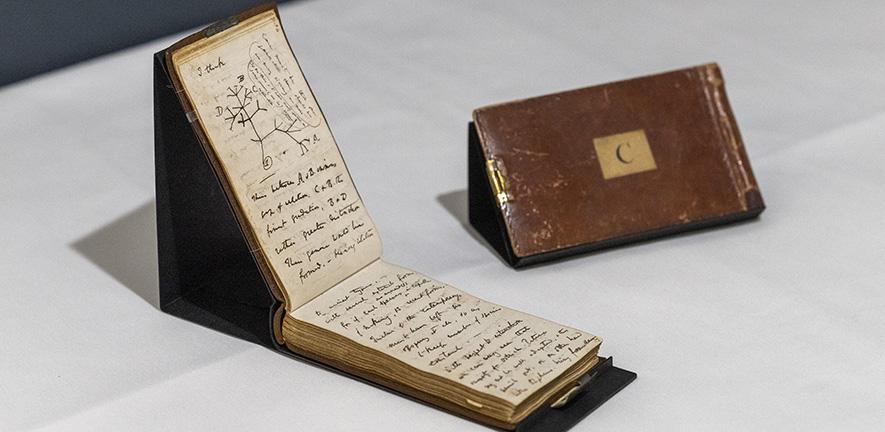 The Tree of Life in Notebook B on display during Darwin in Conversation.